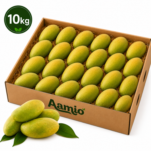 Premium Dasheri Mangoes – 10kg